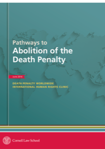 Front cover of Pathways to Abolition of the Death Penalty.